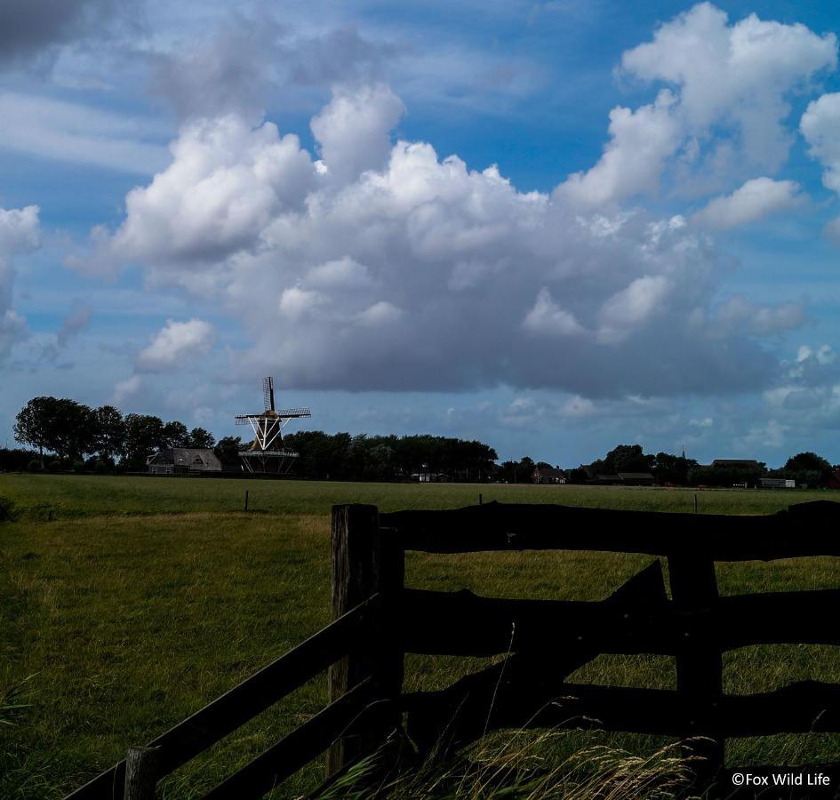 The Wee White Hoose Bed & Breakfast Oosternijkerk Bagian luar foto