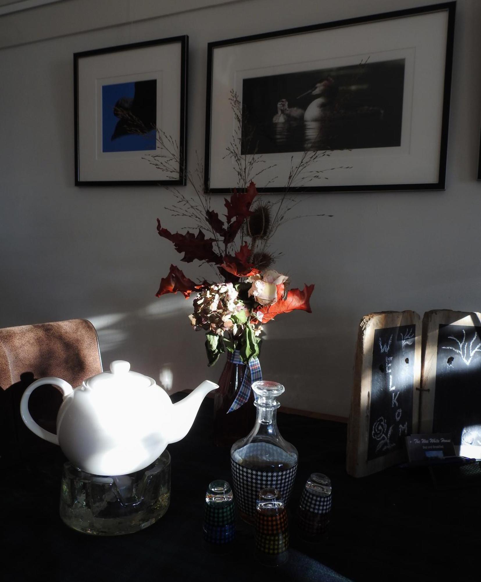 The Wee White Hoose Bed & Breakfast Oosternijkerk Bagian luar foto