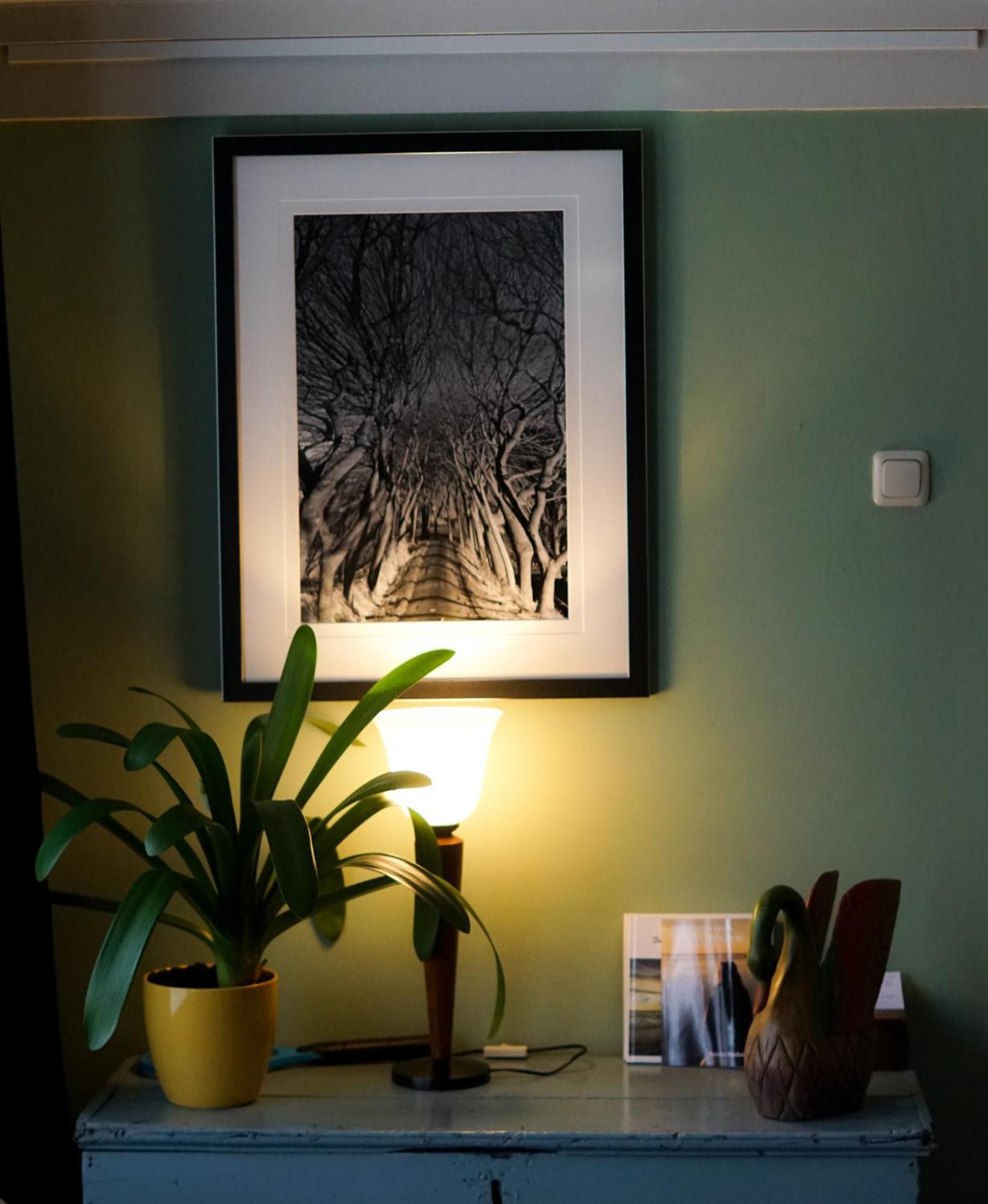 The Wee White Hoose Bed & Breakfast Oosternijkerk Bagian luar foto