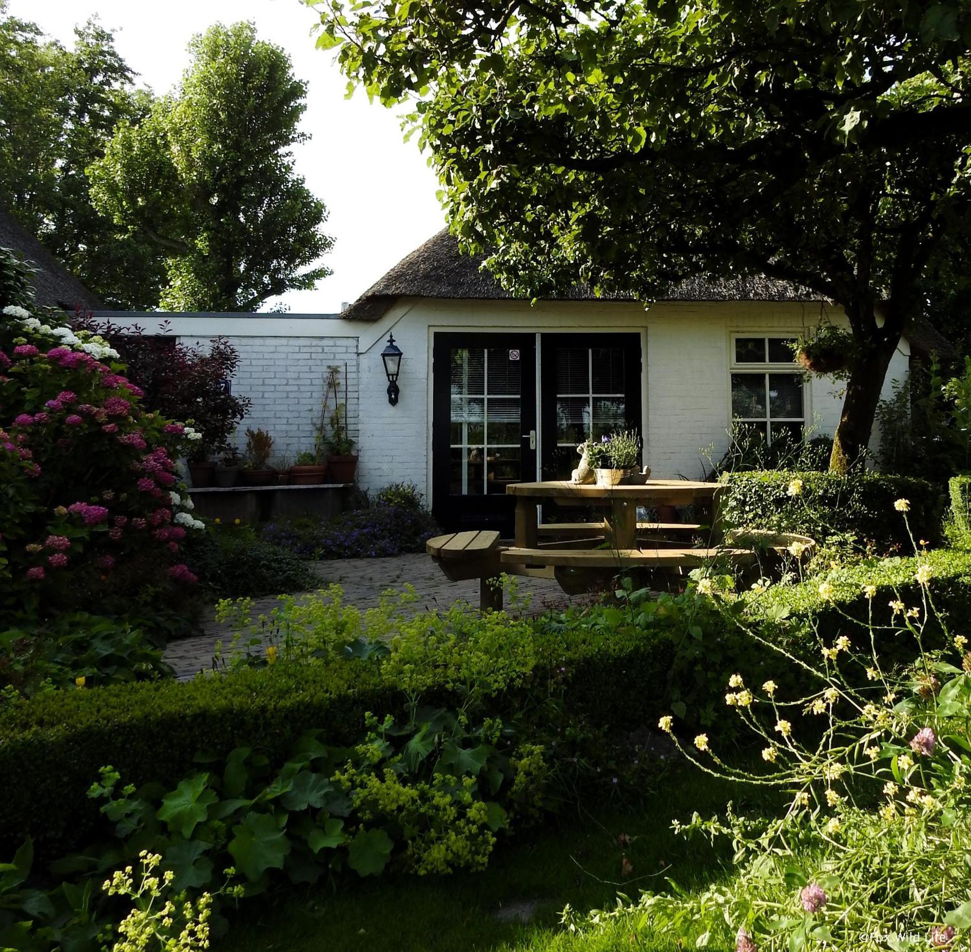 The Wee White Hoose Bed & Breakfast Oosternijkerk Bagian luar foto