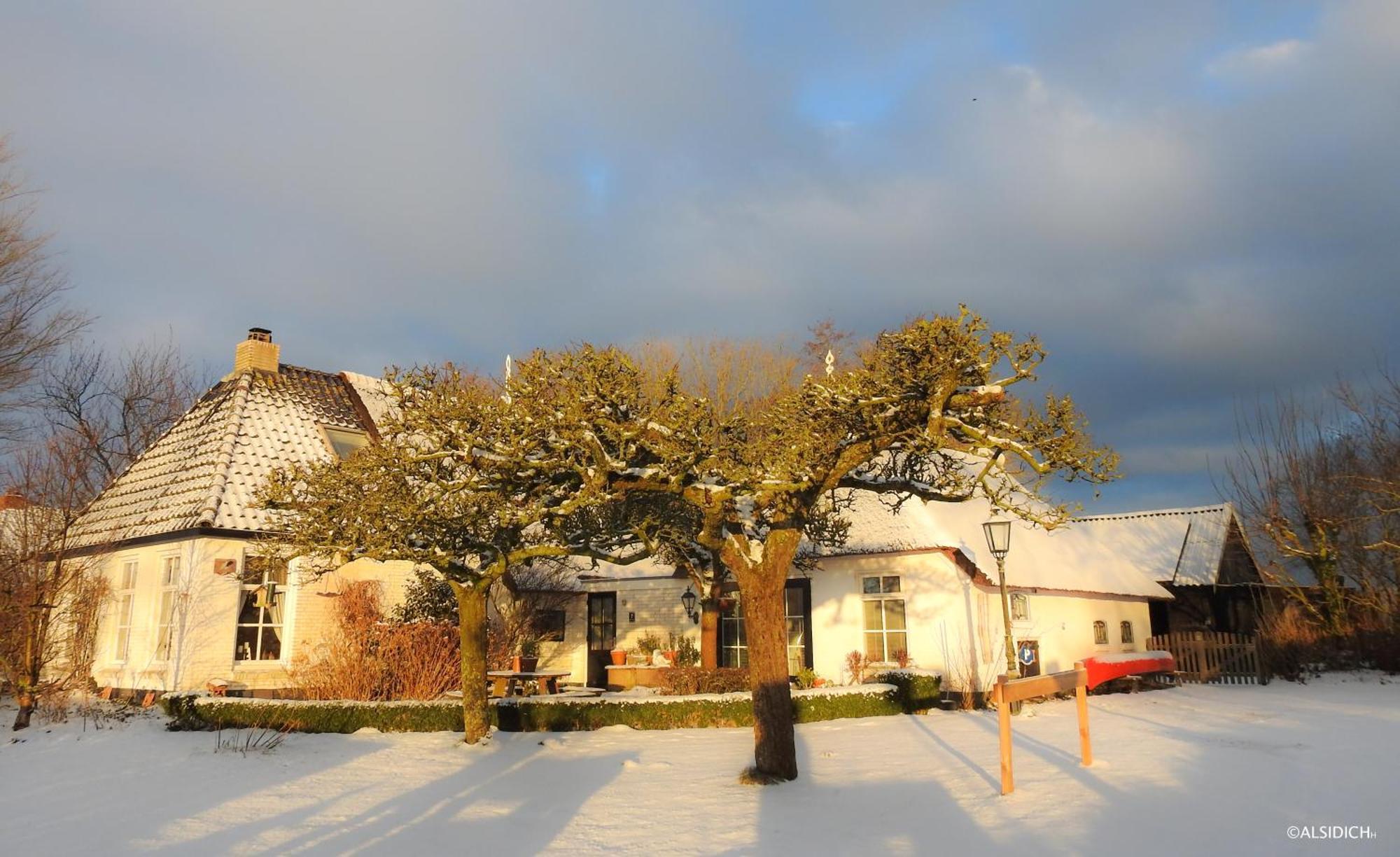 The Wee White Hoose Bed & Breakfast Oosternijkerk Bagian luar foto