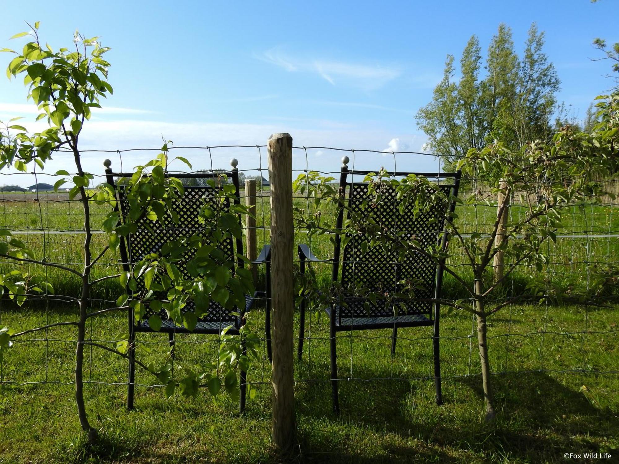 The Wee White Hoose Bed & Breakfast Oosternijkerk Bagian luar foto