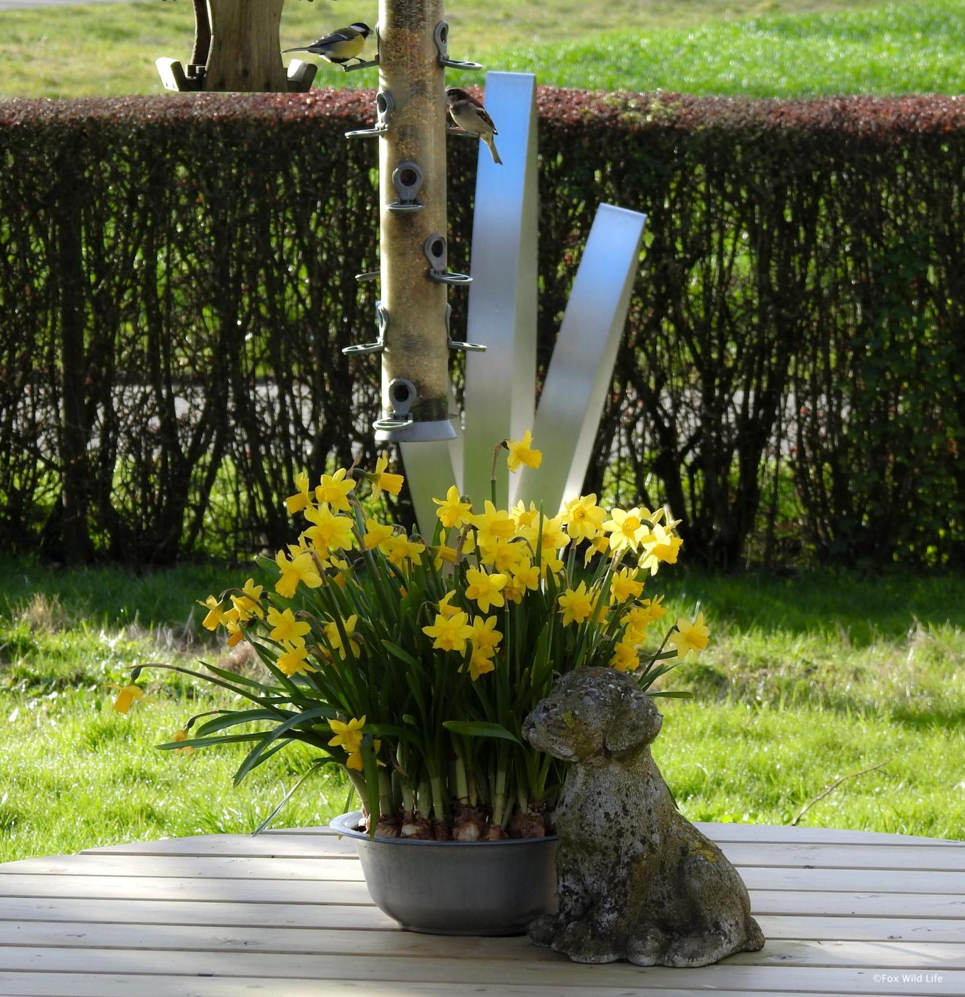 The Wee White Hoose Bed & Breakfast Oosternijkerk Bagian luar foto