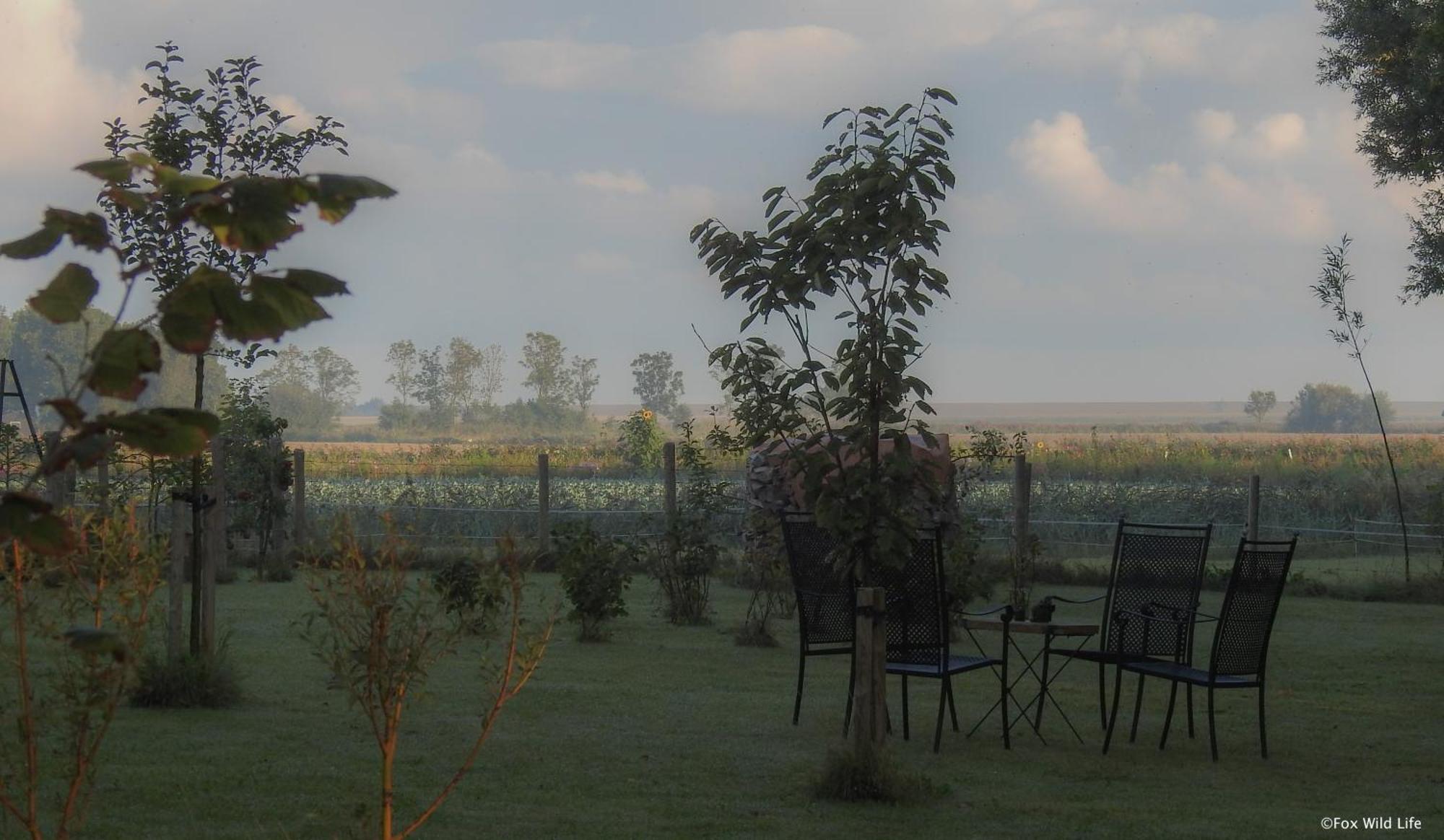 The Wee White Hoose Bed & Breakfast Oosternijkerk Bagian luar foto